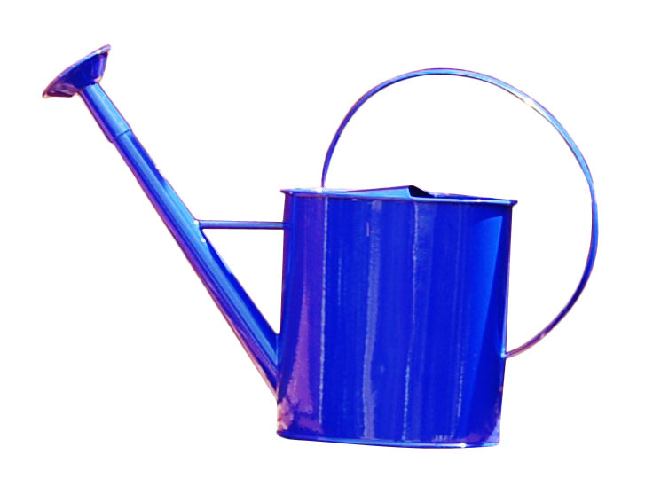 Griffith Creek Designs Metal 1 Gallon Watering Can with Long Spout